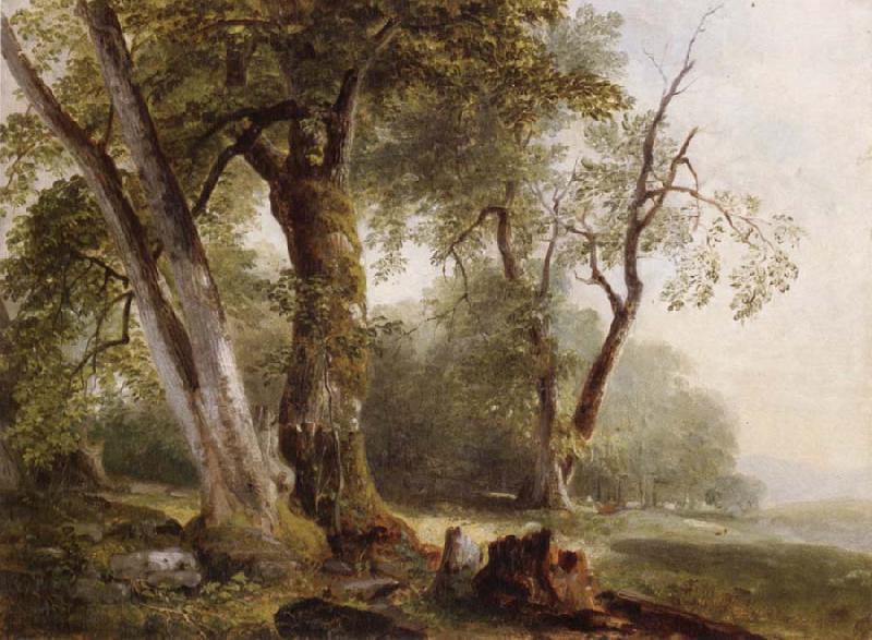 Asher Brown Durand Landscape with Beech Tree France oil painting art